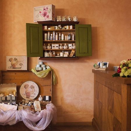 Country House Poggio Fiorito Asyż Zewnętrze zdjęcie