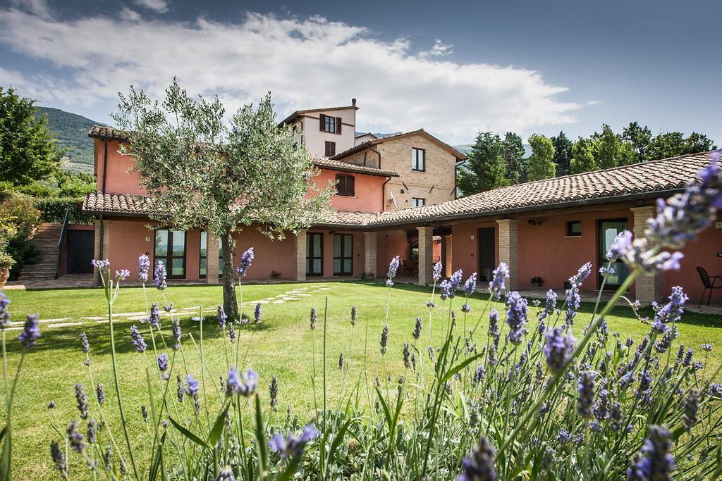 Country House Poggio Fiorito Asyż Zewnętrze zdjęcie